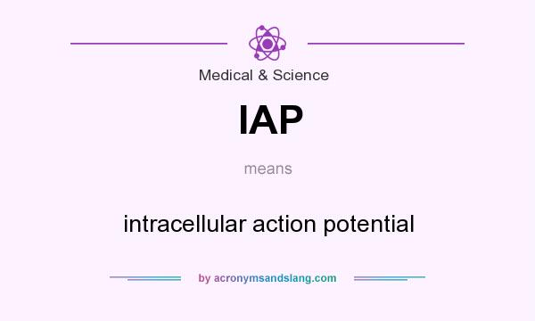 What does IAP mean? It stands for intracellular action potential