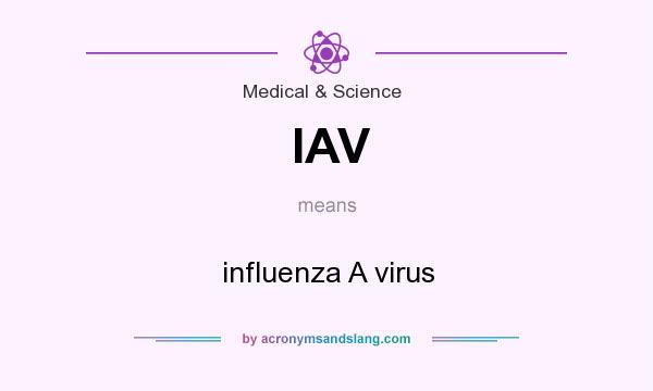 What does IAV mean? It stands for influenza A virus