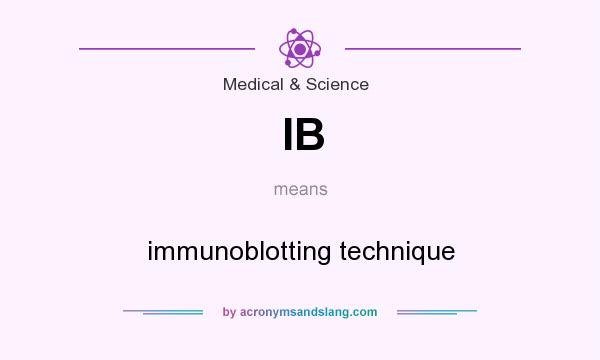 What does IB mean? It stands for immunoblotting technique