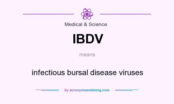What does IBDV mean? It stands for infectious bursal disease viruses