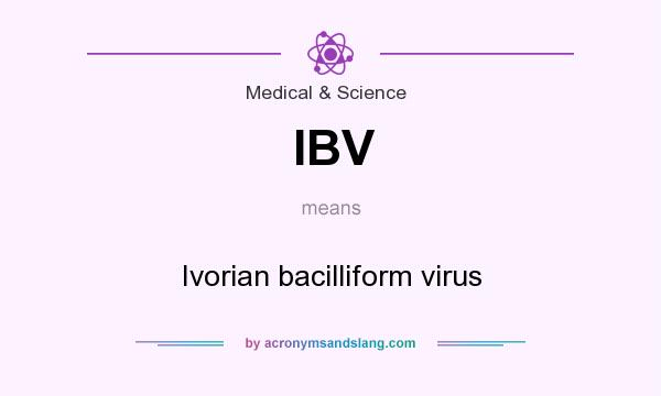 What does IBV mean? It stands for Ivorian bacilliform virus