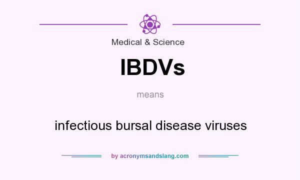 What does IBDVs mean? It stands for infectious bursal disease viruses