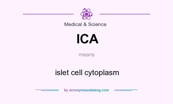 What does ICA mean? It stands for islet cell cytoplasm