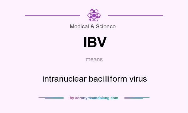 What does IBV mean? It stands for intranuclear bacilliform virus