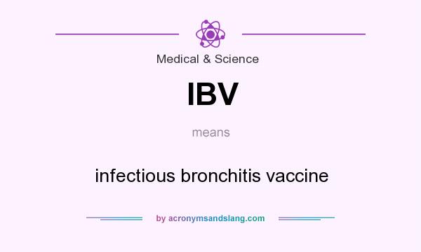What does IBV mean? It stands for infectious bronchitis vaccine