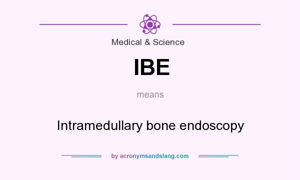 What does IBE mean? It stands for Intramedullary bone endoscopy