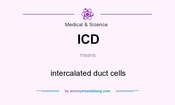 What does ICD mean? It stands for intercalated duct cells