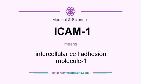What does ICAM-1 mean? It stands for intercellular cell adhesion molecule-1