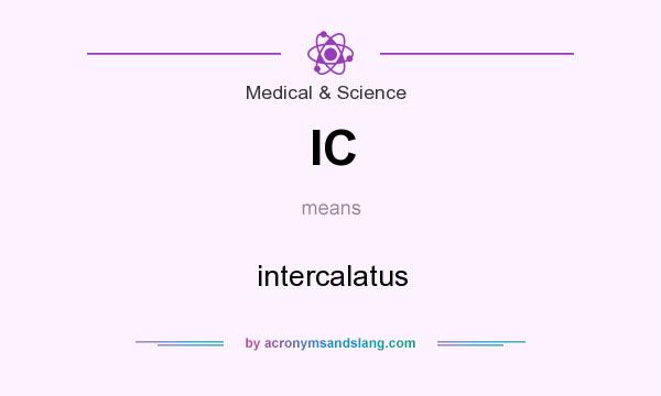 What does IC mean? It stands for intercalatus