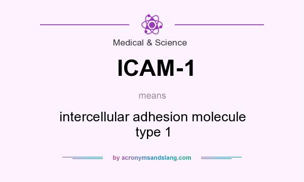 What does ICAM-1 mean? It stands for intercellular adhesion molecule type 1