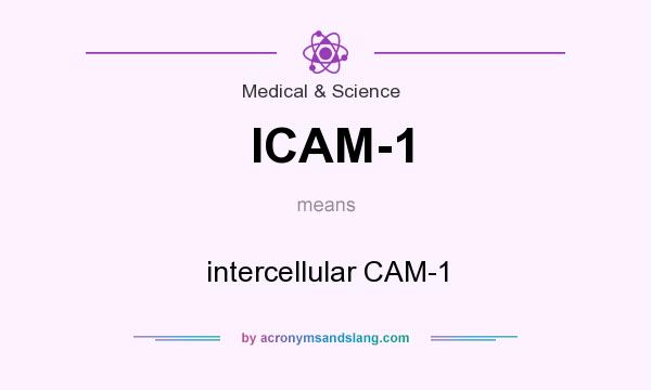 What does ICAM-1 mean? It stands for intercellular CAM-1