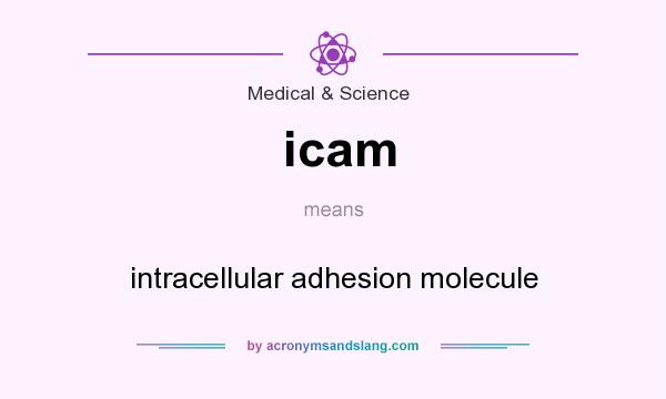 What does icam mean? It stands for intracellular adhesion molecule
