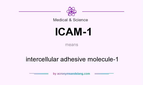 What does ICAM-1 mean? It stands for intercellular adhesive molecule-1
