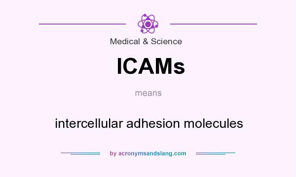 What does ICAMs mean? It stands for intercellular adhesion molecules