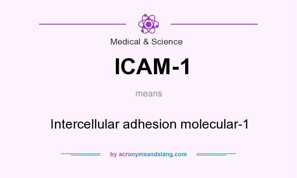 What does ICAM-1 mean? It stands for Intercellular adhesion molecular-1