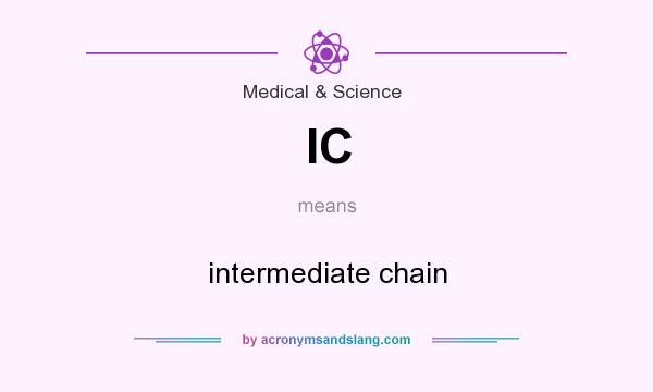 What does IC mean? It stands for intermediate chain