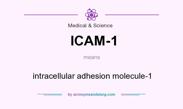 What does ICAM-1 mean? It stands for intracellular adhesion molecule-1