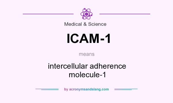 What does ICAM-1 mean? It stands for intercellular adherence molecule-1
