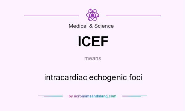 What does ICEF mean? It stands for intracardiac echogenic foci