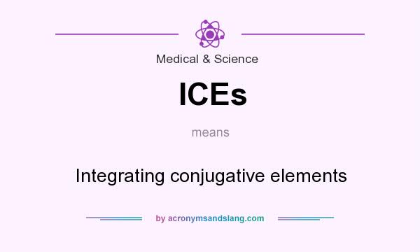 What does ICEs mean? It stands for Integrating conjugative elements