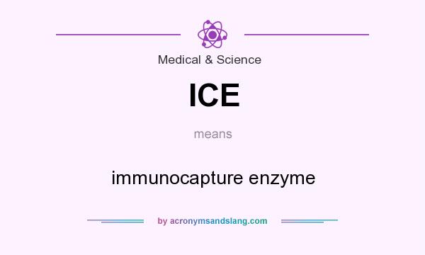 What does ICE mean? It stands for immunocapture enzyme