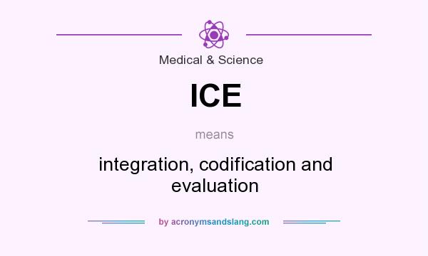 What does ICE mean? It stands for integration, codification and evaluation