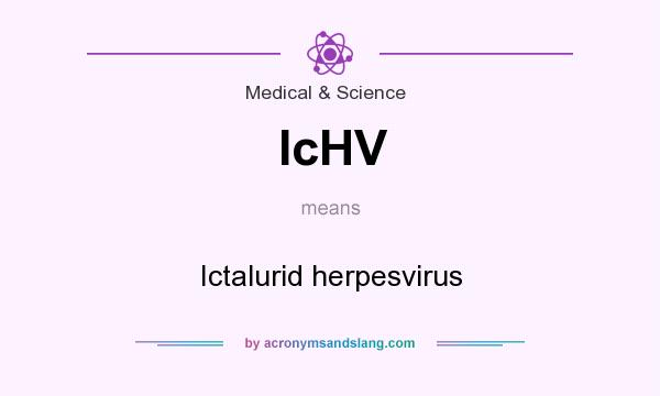 What does IcHV mean? It stands for Ictalurid herpesvirus