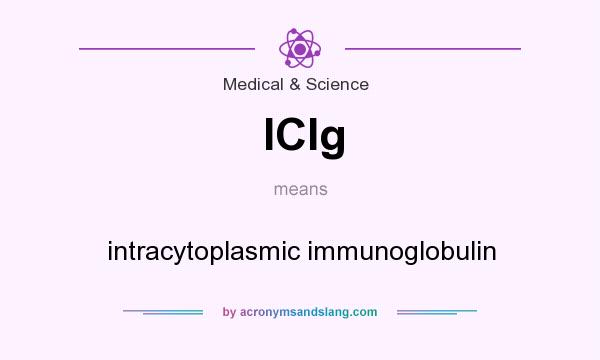 What does ICIg mean? It stands for intracytoplasmic immunoglobulin