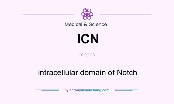 What does ICN mean? It stands for intracellular domain of Notch