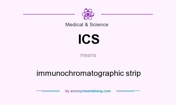 What does ICS mean? It stands for immunochromatographic strip