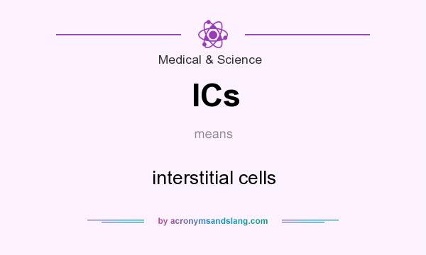 What does ICs mean? It stands for interstitial cells
