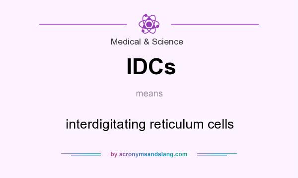 What does IDCs mean? It stands for interdigitating reticulum cells