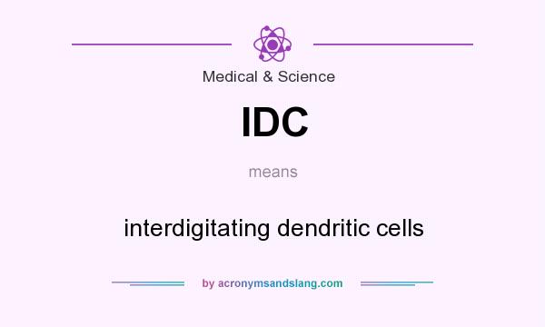 What does IDC mean? It stands for interdigitating dendritic cells