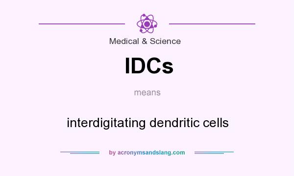 What does IDCs mean? It stands for interdigitating dendritic cells