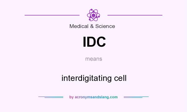 What does IDC mean? It stands for interdigitating cell