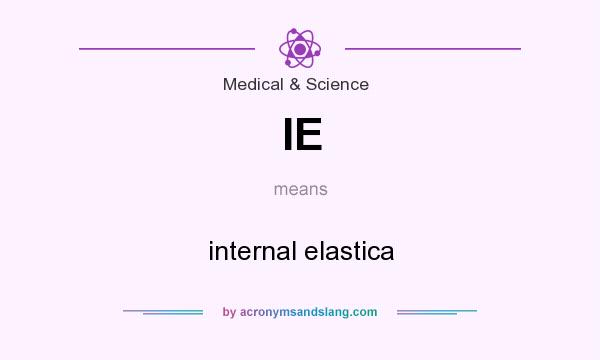 What does IE mean? It stands for internal elastica
