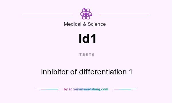 What does Id1 mean? It stands for inhibitor of differentiation 1