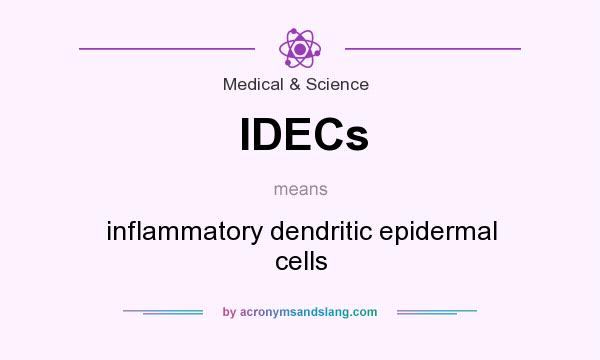 What does IDECs mean? It stands for inflammatory dendritic epidermal cells