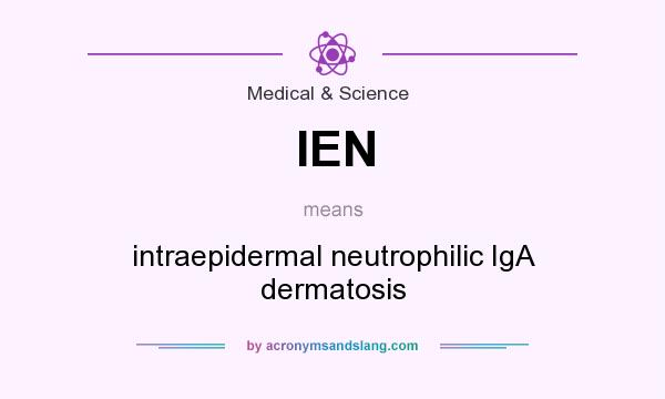What does IEN mean? It stands for intraepidermal neutrophilic IgA dermatosis