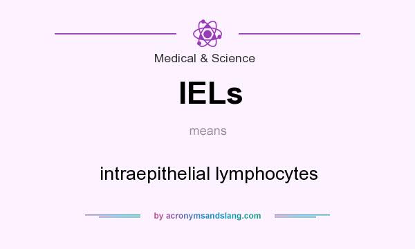 What does IELs mean? It stands for intraepithelial lymphocytes