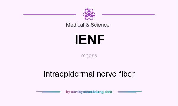 What does IENF mean? It stands for intraepidermal nerve fiber