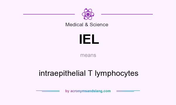 What does IEL mean? It stands for intraepithelial T lymphocytes