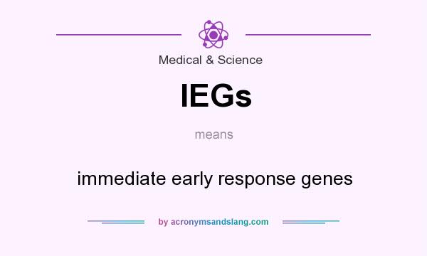What does IEGs mean? It stands for immediate early response genes