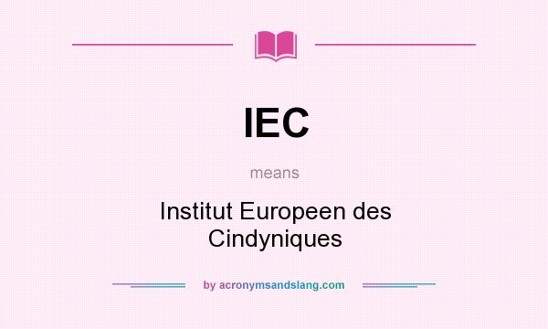 What does IEC mean? It stands for Institut Europeen des Cindyniques