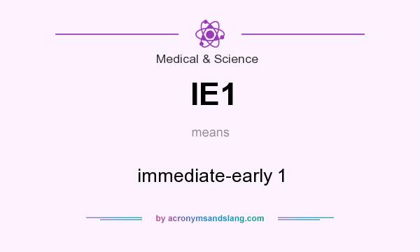 What does IE1 mean? It stands for immediate-early 1