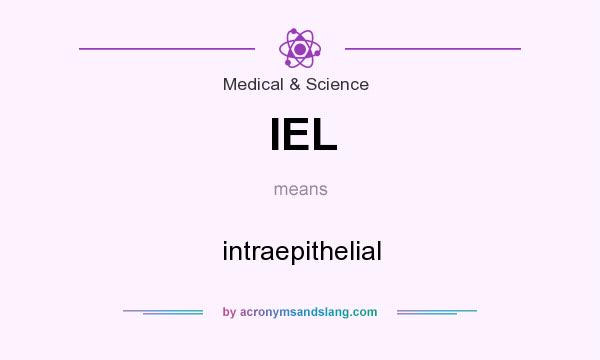 What does IEL mean? It stands for intraepithelial
