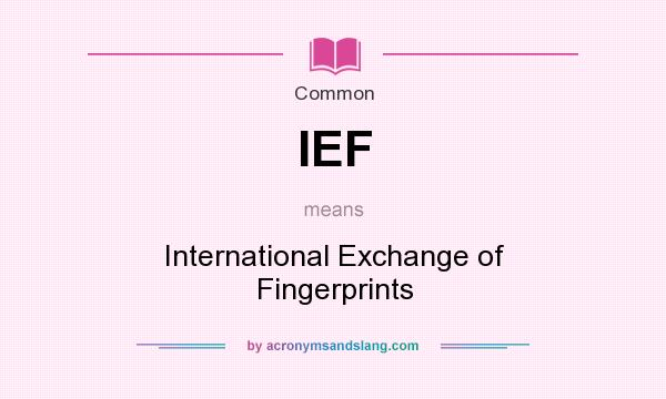 What does IEF mean? It stands for International Exchange of Fingerprints