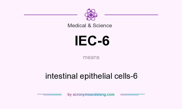 What does IEC-6 mean? It stands for intestinal epithelial cells-6