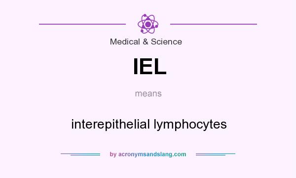 What does IEL mean? It stands for interepithelial lymphocytes