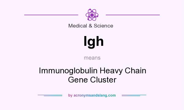 What does Igh mean? It stands for Immunoglobulin Heavy Chain Gene Cluster